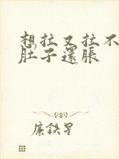 想拉又拉不出来肚子还胀