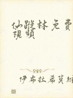 仙踪林免费在线视频