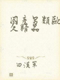 国产另类欧美久久精品