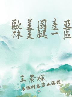 欧美国产亚洲丝袜美腿一区