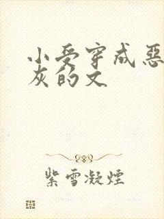 小受穿成恶毒炮灰的文