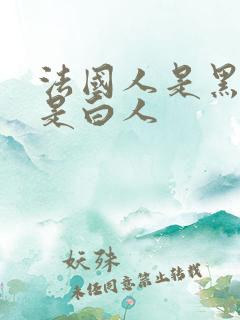 法国人是黑人还是白人