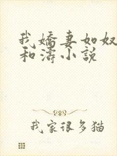 我娇妻如奴 琳和涛小说