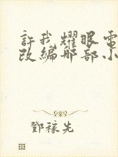 许我耀眼电视剧改编哪部小说