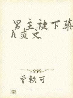 男主被下药后高h爽文