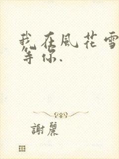 我在风花雪月里等你.