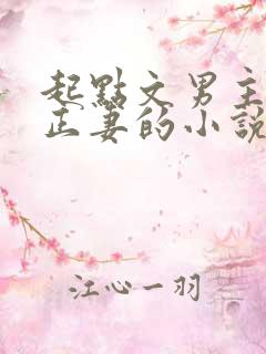 起点文男主沦为正妻的小说