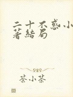 二十不惑小说原著结局