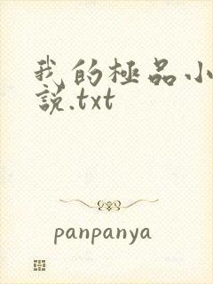 我的极品小姨小说.txt