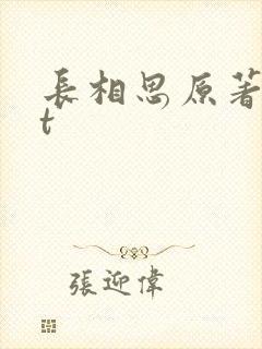 长相思原著txt