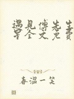 遇见傅先生叶繁星全文免费阅读贺