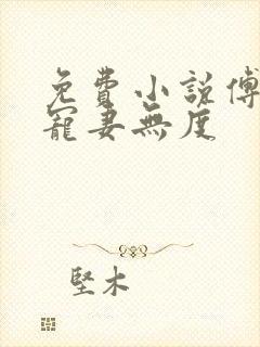 免费小说傅先生宠妻无度