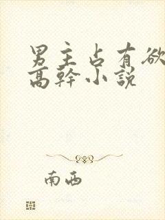 男主占有欲极强高干小说