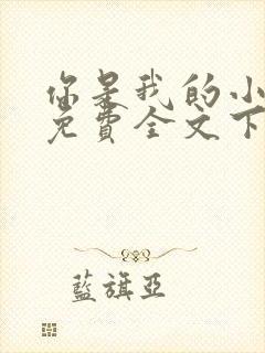 你是我的小确幸免费全文下载