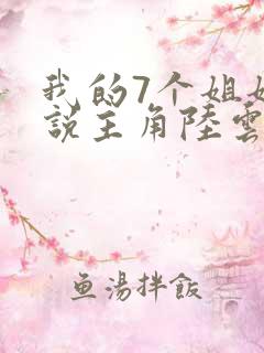我的7个姐姐小说主角陆云