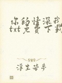 你的情深我不配txt免费下载