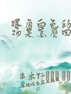 眼角白色的分泌物是怎么回事