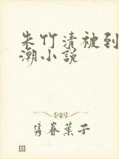 朱竹清被到爽高潮小说
