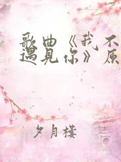 歌曲《我不后悔遇见你》原唱