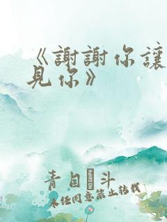 《谢谢你让我遇见你》