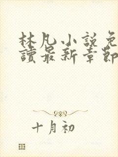 林凡小说免费阅读最新章节