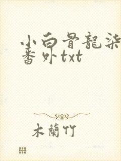 小白骨龙柒全文番外txt