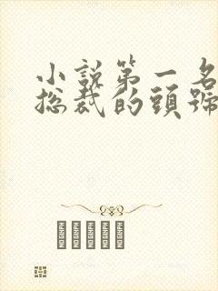 小说第一名媛,总裁的头号新妻txt