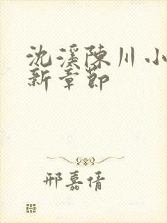 沈溪陈川小说最新章节