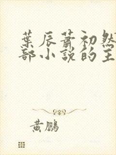 叶辰萧初然是哪部小说的主角