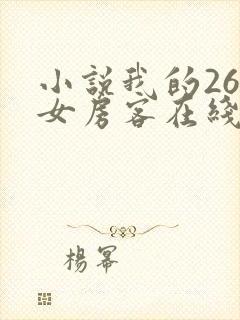 小说我的26岁女房客在线阅读