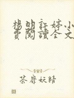 杨明许婷小说免费阅读全文最新章节