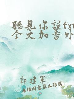 听见你说txt全文加番外