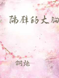 隔壁的大胸阿姨