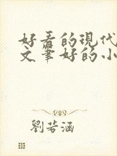 好看的现代言情文笔好的小说
