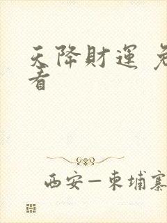 天降财运 免费看