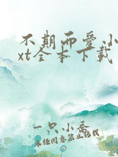 不期而爱小说txt全本下载