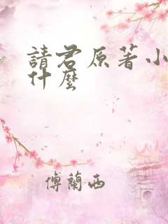 请君原著小说叫什么