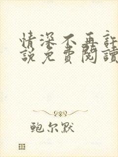 情深不再许 小说免费阅读完本