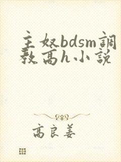 主奴bdsm调教高h小说