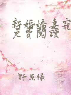 新婚娇妻宠上瘾免费阅读