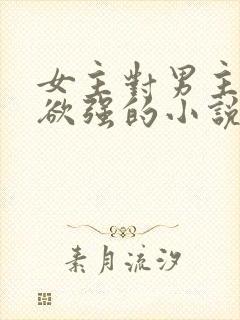 女主对男主占有欲强的小说