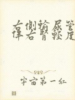 右侧输尿管结石伴右肾轻度积水