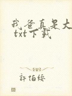 我爸真是大明星 txt下载