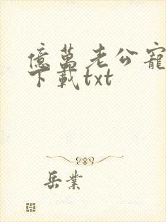 亿万老公宠上瘾下载txt