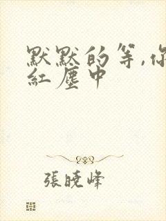 默默的等,你在红尘中