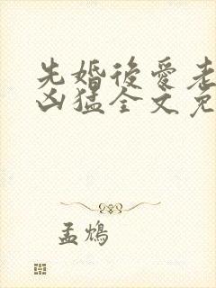 先婚后爱老公很凶猛全文免费阅读