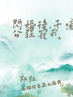 闪婚后,千亿老公狂宠我