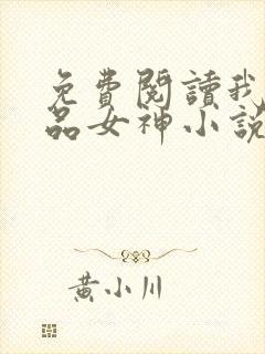 免费阅读我的极品女神小说