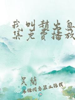 我叫赵出息13集免费播放