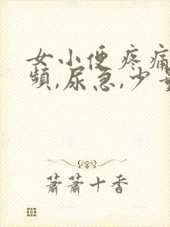 女小便疼痛,尿频,尿急,少量出血